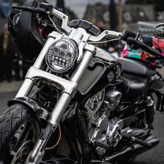 Harley Davidson v rod muscle