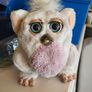 furby Image 3