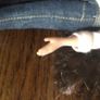 Bratz Yasmin 2001 Doll Image 8