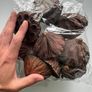 cholla wood & lotus pods for shrimps/aquarium Image 6