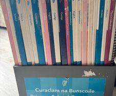 Primary School Curriculum Books 1999