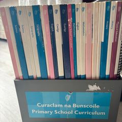 Primary School Curriculum Books 1999