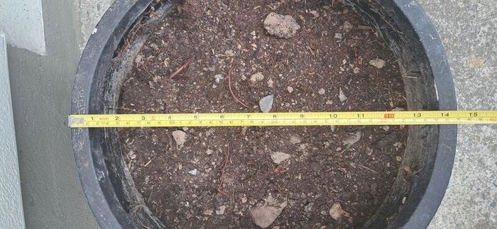 planter