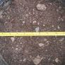 planter Image 2