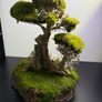 Bonsai Tree with natural moss 45x35cm Image 4