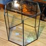 Hexagonal Aquarium 31l Image 2