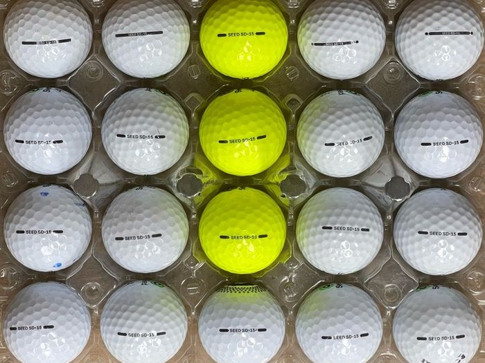 20 used Seed SD-15 golf balls