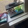 fish tank Image 7