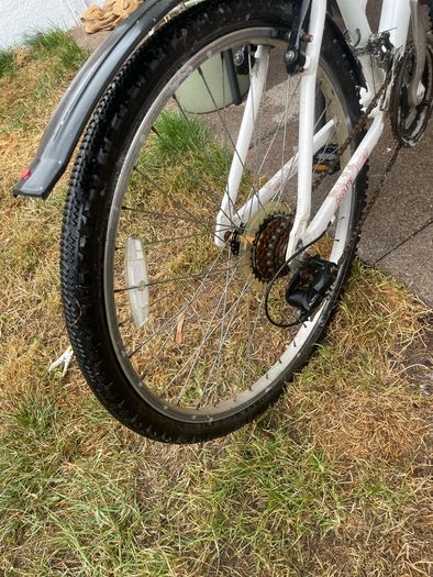 women's pink raleigh bike