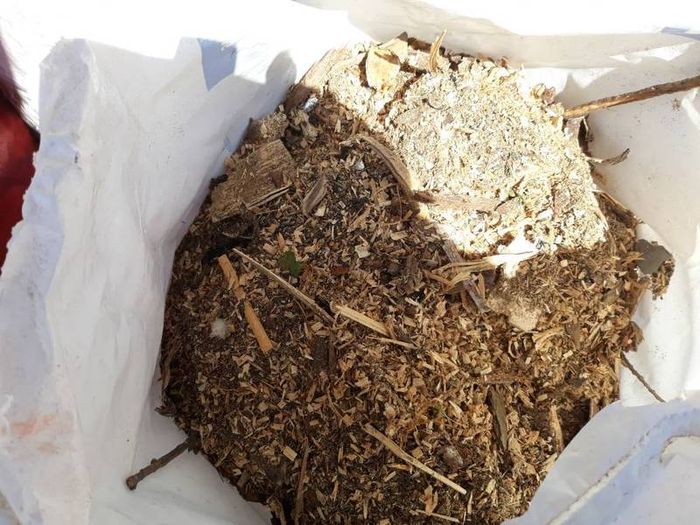 sawdust