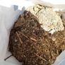 sawdust Image 2