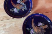 2x Vintage Arklow Pottery Oriental Paradise Decorative Plates