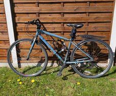 Adult bike