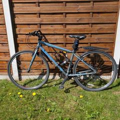 Adult bike