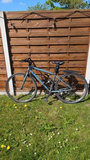 Adult bike