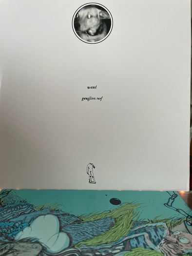 Wand - Ganglion Reef