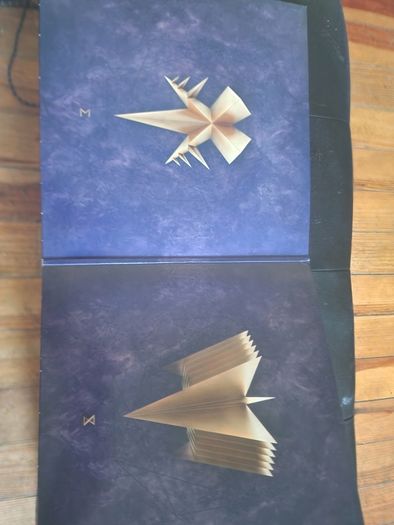 Enigma - The Fall of a Rebel Angel Vinyl Album