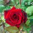 filip12345