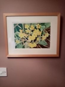 Original Watercolour