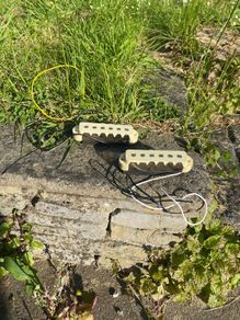 Jaguar pickups Alnico (Squier VM 70's)