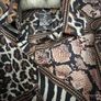 New Quiz Shirt Dress Image 2