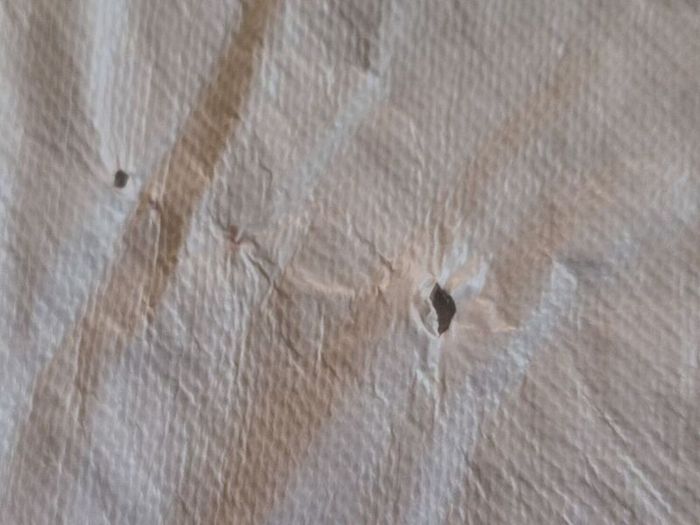 Double duvet protector waterproof - 2 available