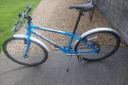 Adults Bike