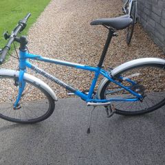 Adults Bike