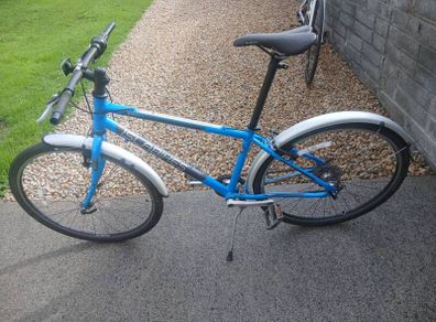 Adults Bike