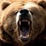 bear2662