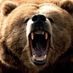 bear2662
