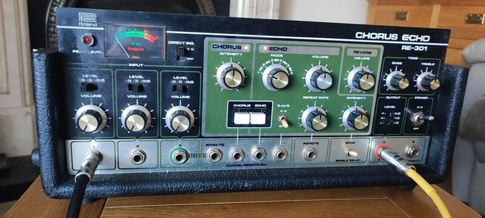 Roland RE-301