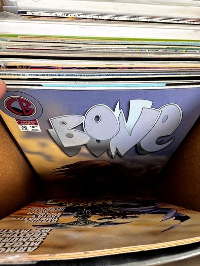 Indie Long Comic Box w 250 Comics for Sale
