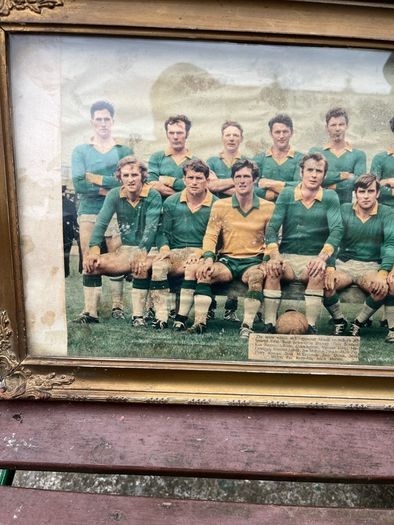 1966 Meath team