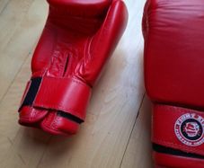 Boxing gloves