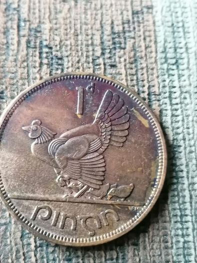 very rare coins
