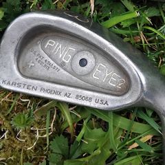 ping eye 2 - 4 iron