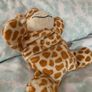 giraffe Image 2