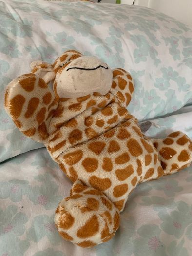 giraffe