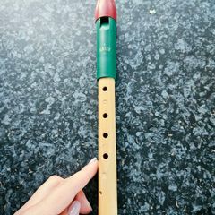 pentatonic recorder