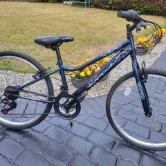 Young Girls Bike Good As New Rarely Used
