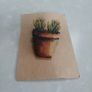 Wooden succulent plant brooches handmade Image 2