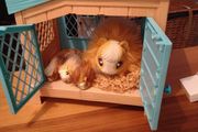 toy