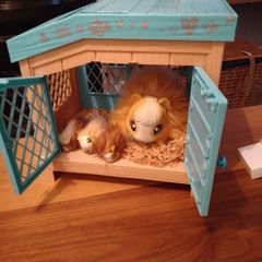 toy
