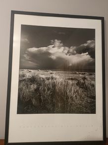 (Move out sell-see my other low priced ads) Framed Black & White Landscape Photograph by Bill Philip