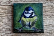 Blue Tit On A Branch - Original Painting
