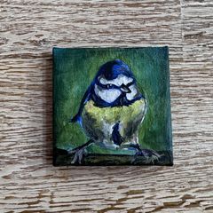 Blue Tit On A Branch - Original Painting