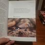 A Field Guide to Bird Photography - Softcover Image 3