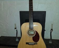 Jasmine acoustic guitar