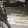 Bruce Springsteen [2016] Born To Run Image 7
